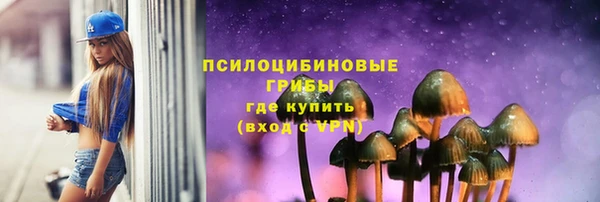 круглые Новодвинск
