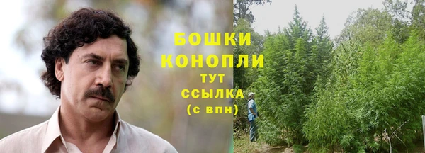 spice Алексеевка