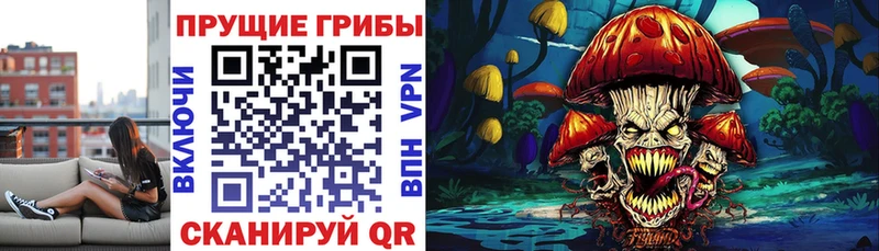 Галлюциногенные грибы GOLDEN TEACHER  Стародуб 