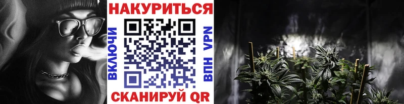 Марихуана индика  Стародуб 